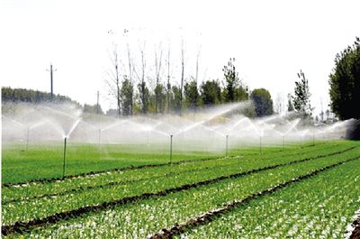 micro spraying irrigation
