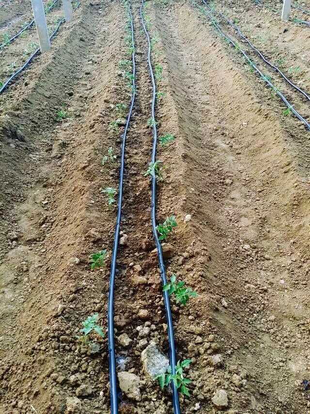 drip irrigation systems