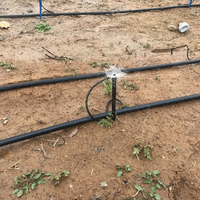 What are the drip irrigation forms?