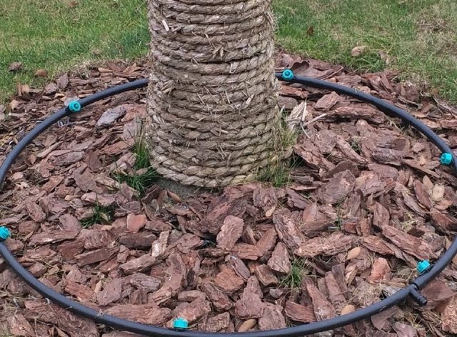 How to install drip irrigation systems?