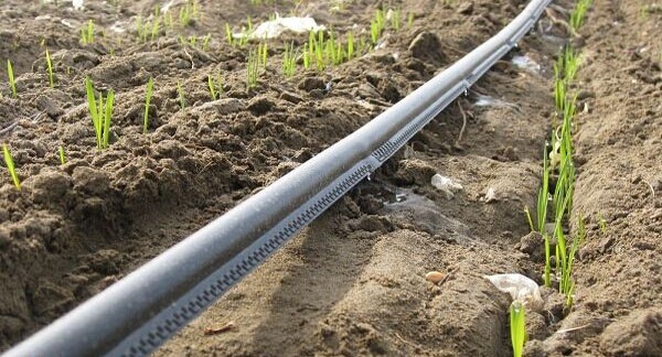 drip irrigation forms