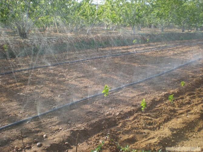 micro spray irrigation design