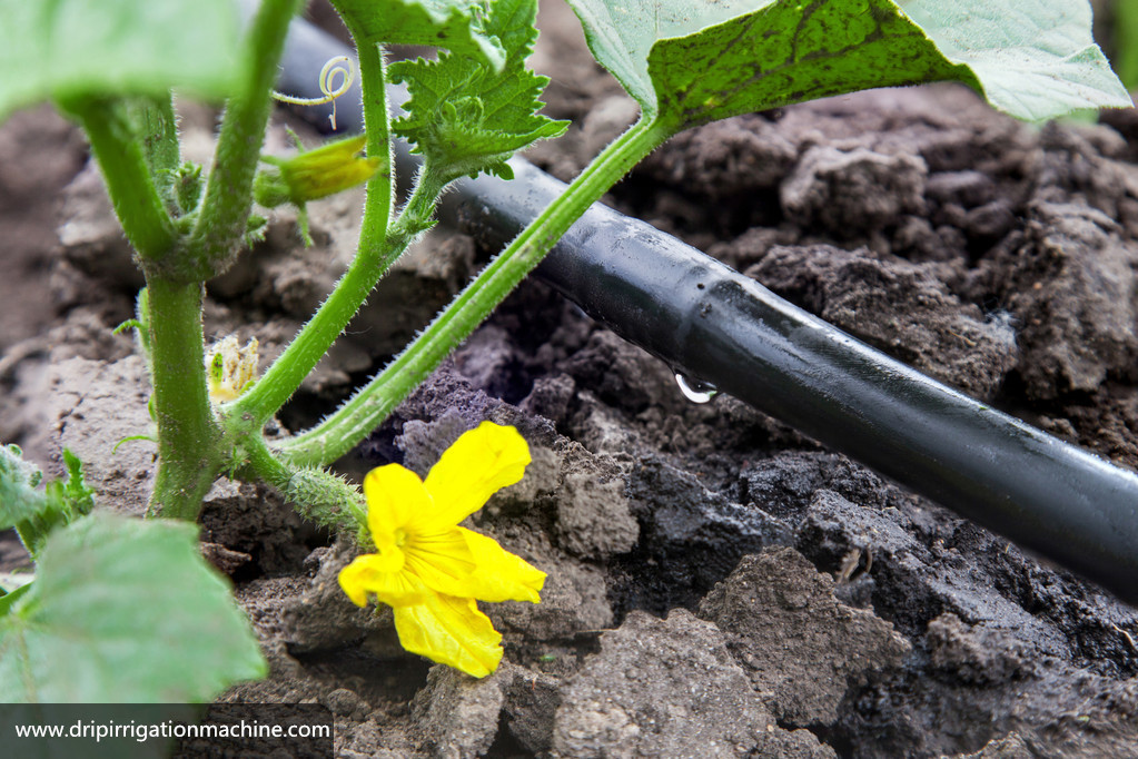 What types of drip irrigation hose are classified?