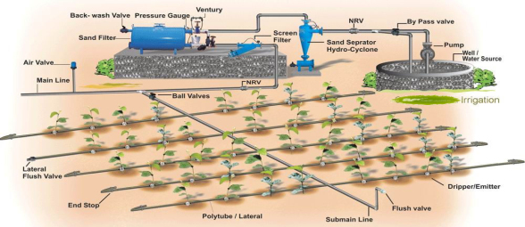 Drip irrigation systems