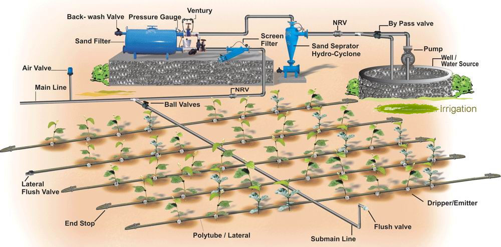 subsurface drip irrigation