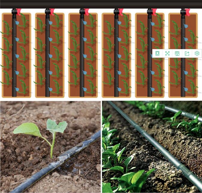 installing a drip irrigation system